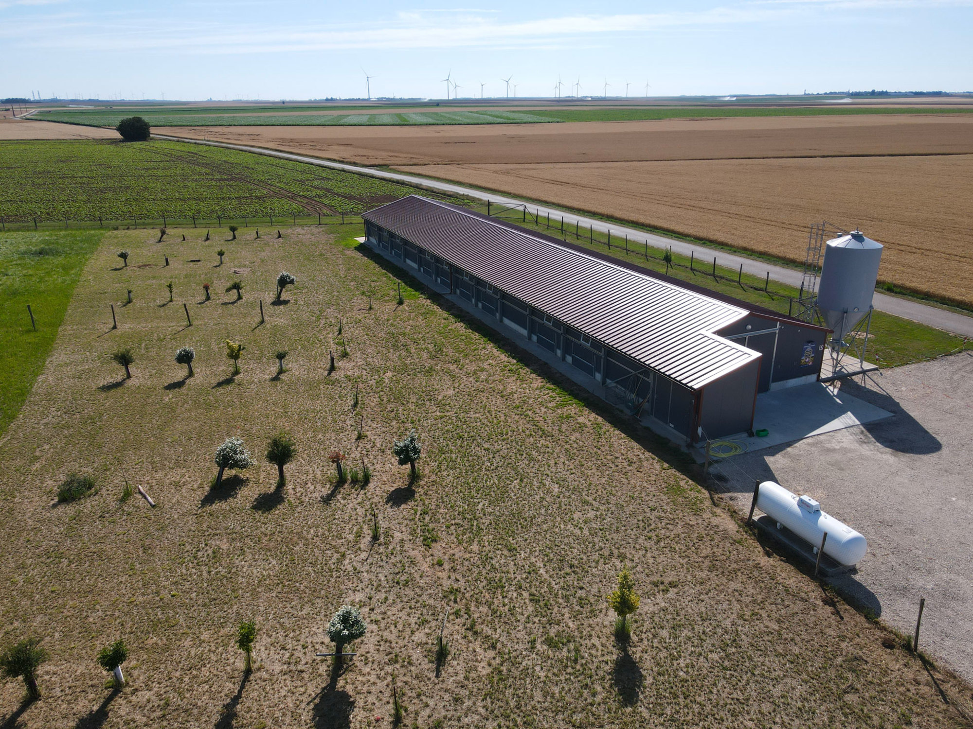 Vue aérienne d'un bâtiment d'élevage photovoltaïque, reflétant la maîtrise complète de la construction photovoltaïque par Le Triangle.
