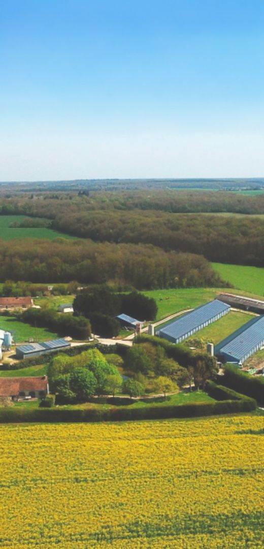 Vue aérienne d'un bâtiment agricole dans un champs en 1985 image d'archive du Groupe Le Triangle